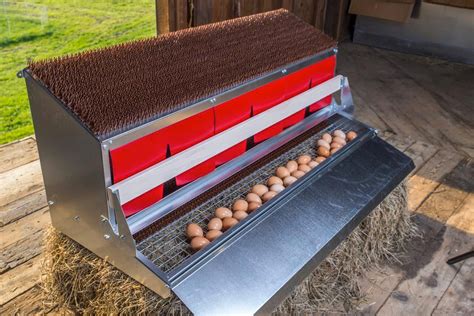 metal laying boxes chickens|best nesting boxes for chickens.